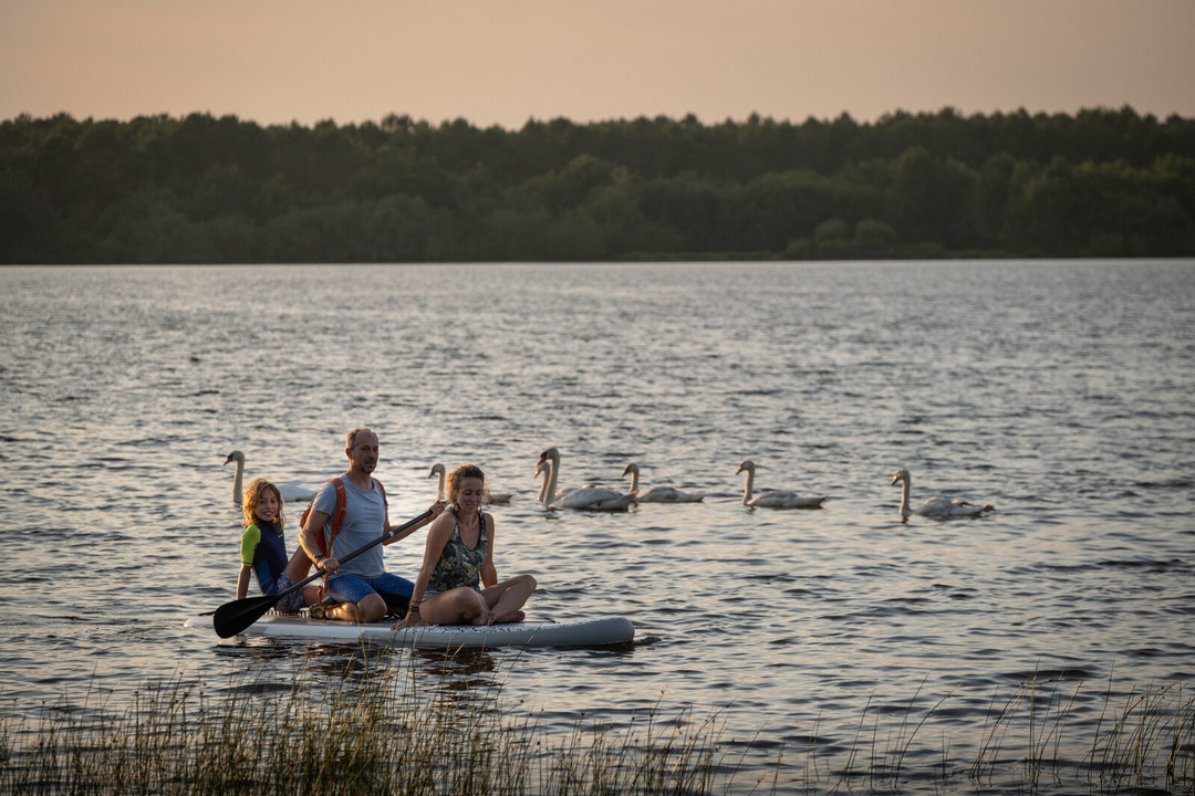 Paddle sur le Lac d'Aureilhan près de Mimizan