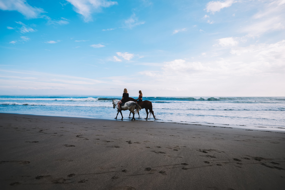 Balade à cheval en amoureux sur les plages de Normandie