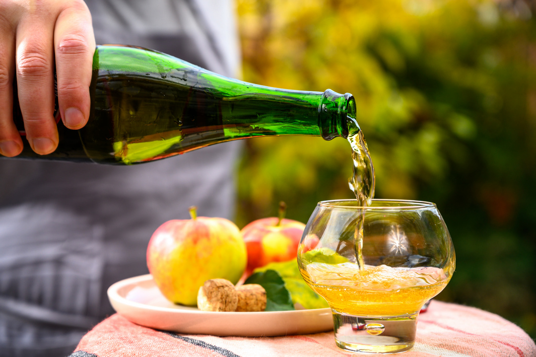 Dégustation de cidre en Normandie