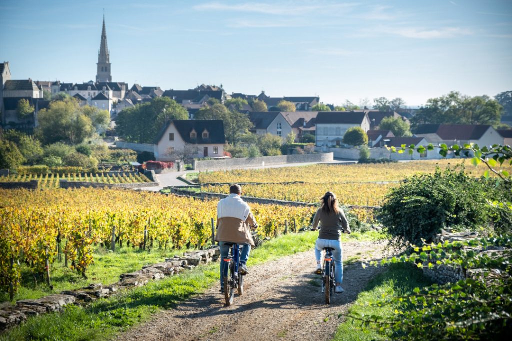 Couple qui fait du vélo à travers les vignes de Meursault en automne