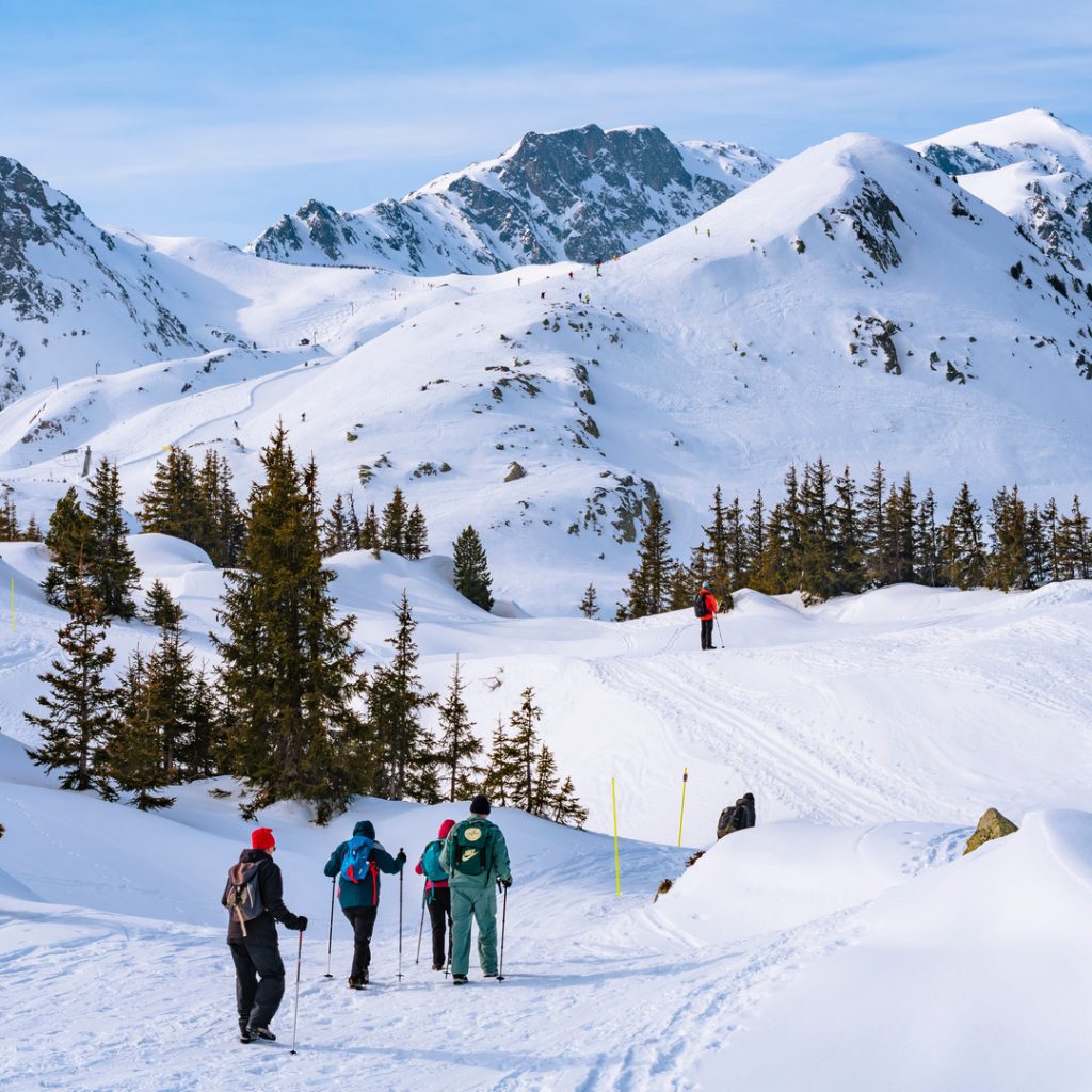 Groupe de personnes effectuant une randonnée en raquettes dans la montagne en hiver.