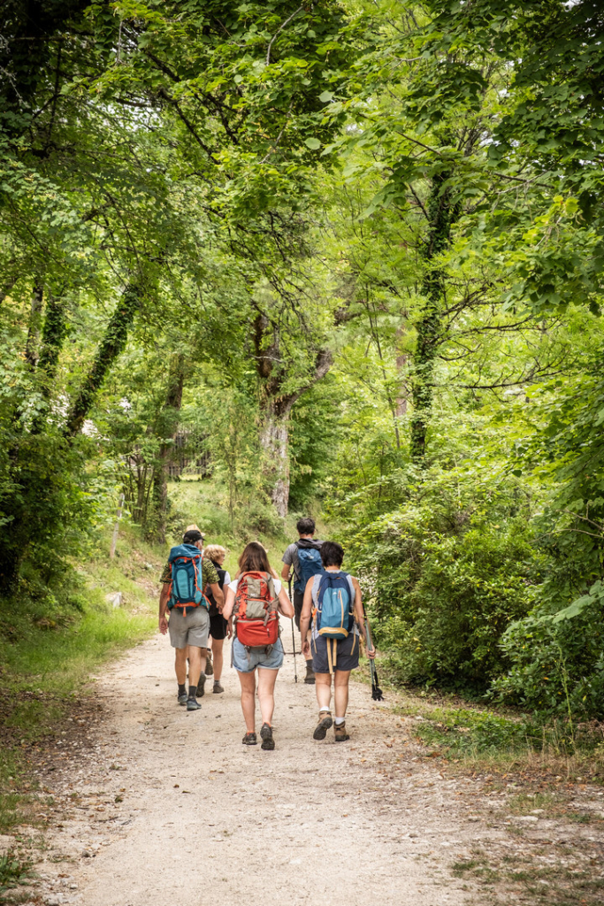 randonnée dans la forêt de saou