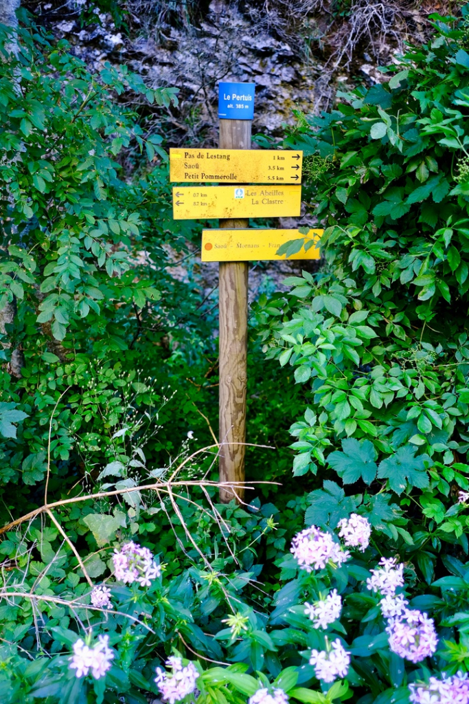 randonnée dans la forêt de saou
