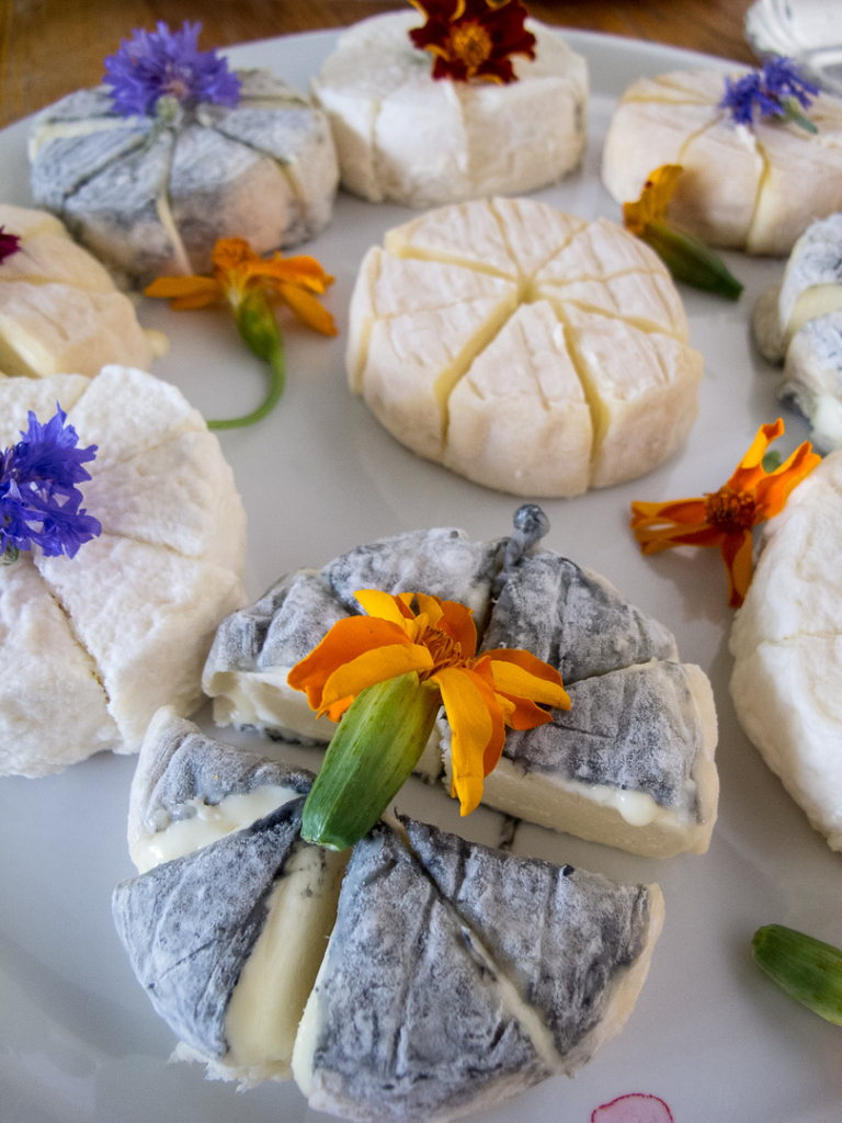 fromage picodon, spécialité drômoise